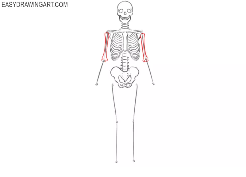how to draw a skeleton picture