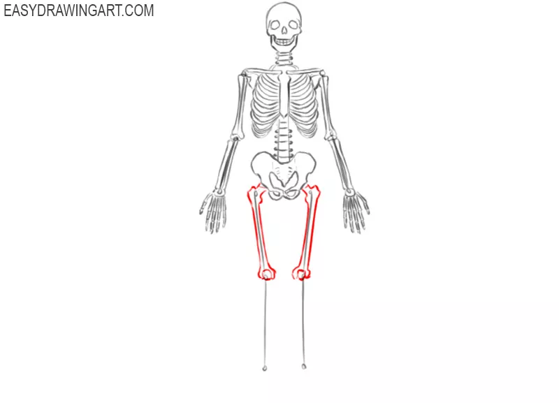 skeleton drawing cartoon