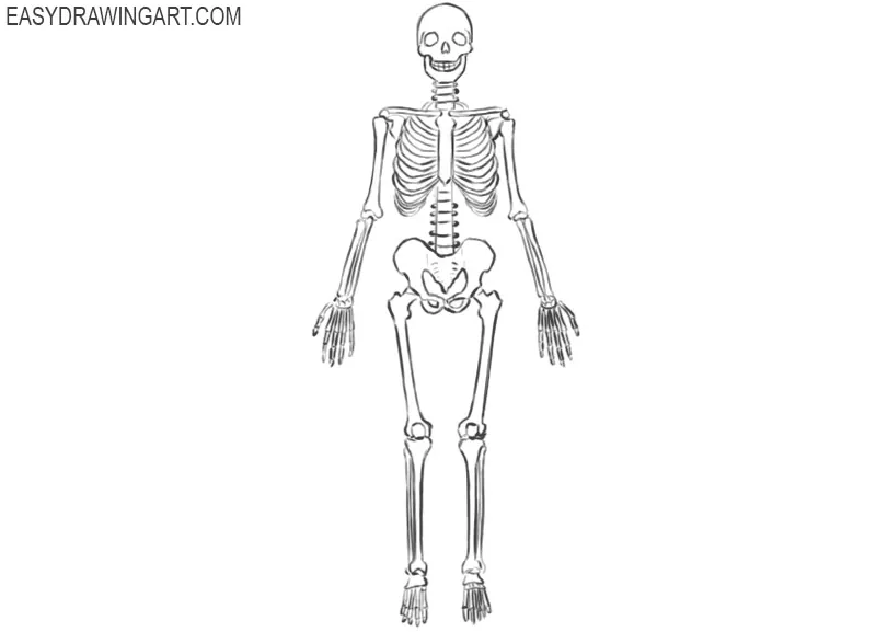 How to Draw a Skeleton