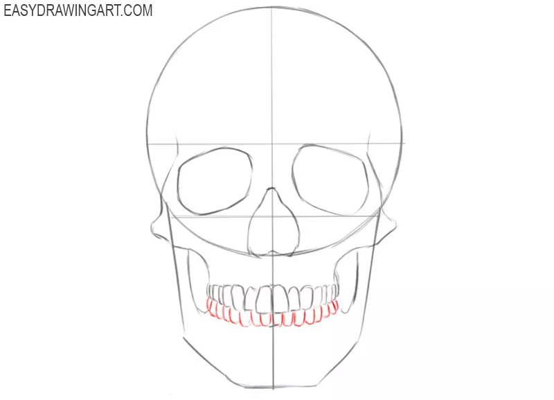 how to draw a skull human