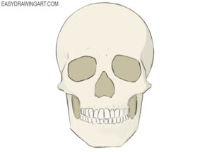 How to draw a skull