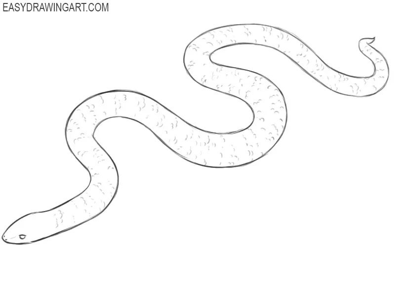  how to draw a snake and colour
