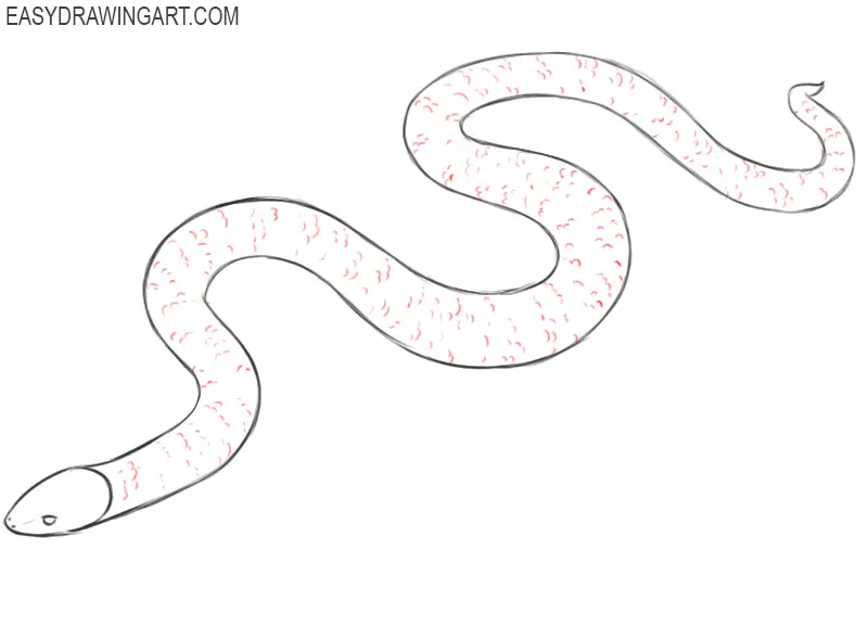 how to draw a snake easy step by step 