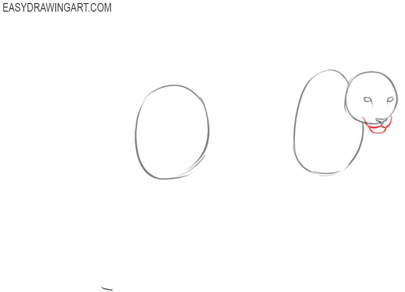 how to draw a snow leopard easy step by step