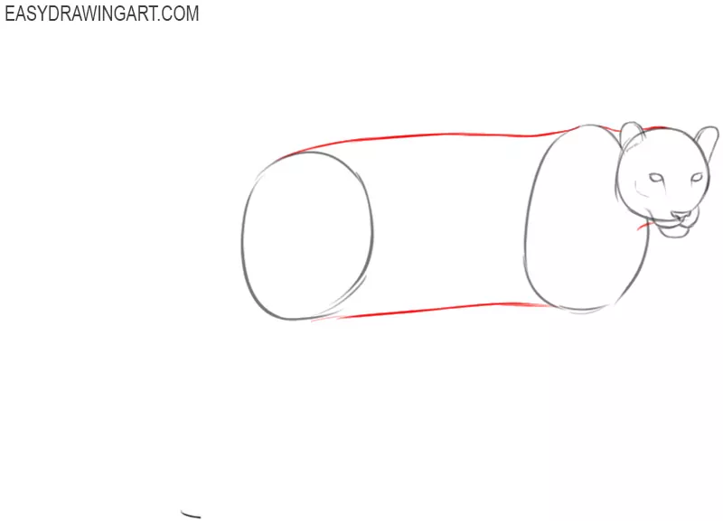 how to draw an easy snow leopard