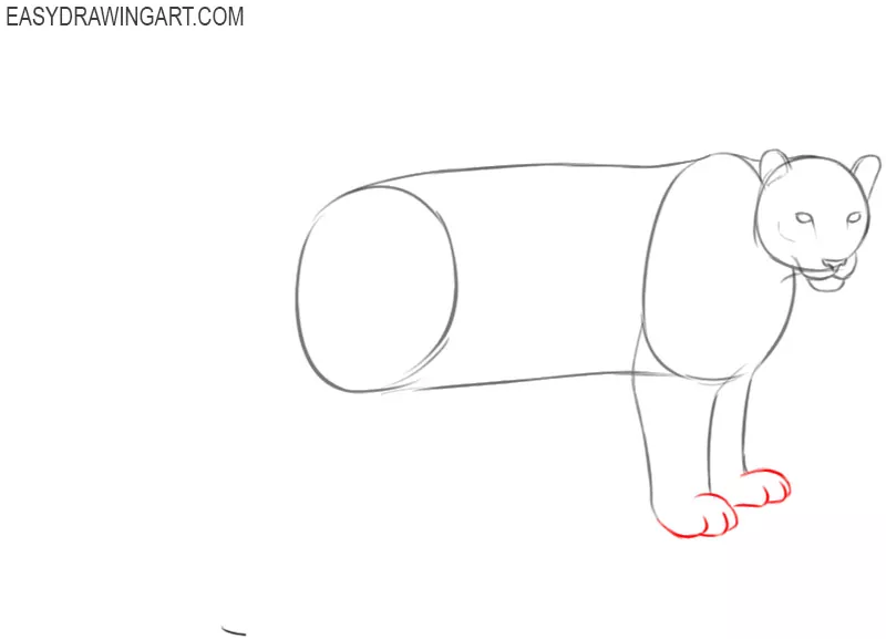 how to draw a cartoon snow leopard step by step