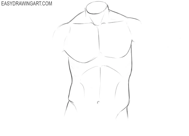 Torso drawing tutorial
