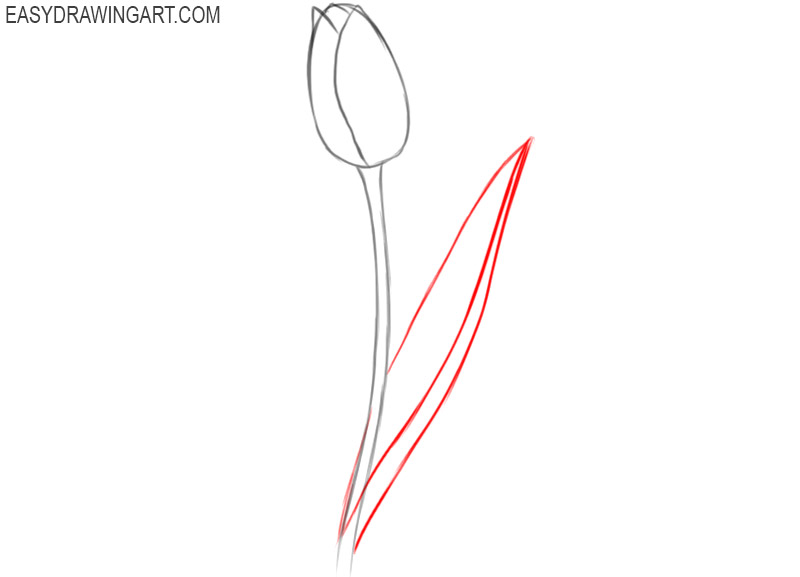 how to draw and paint a tulip