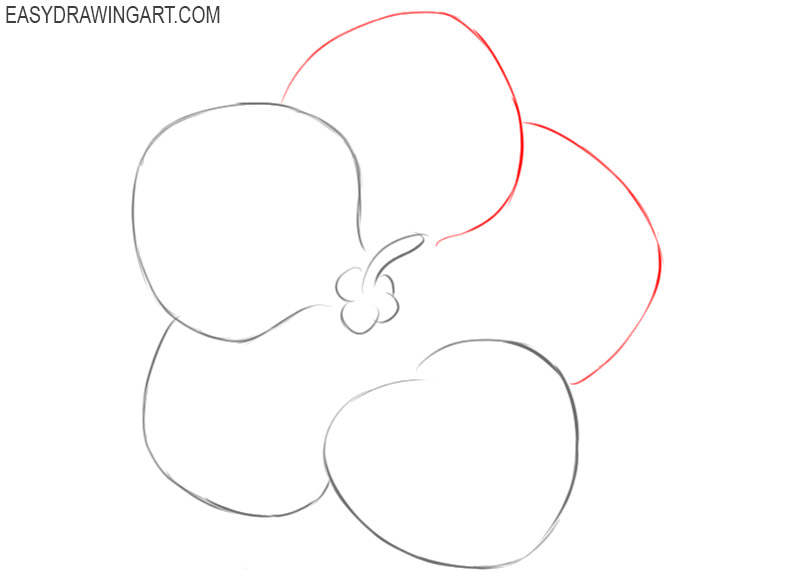 how to draw a violet for beginners