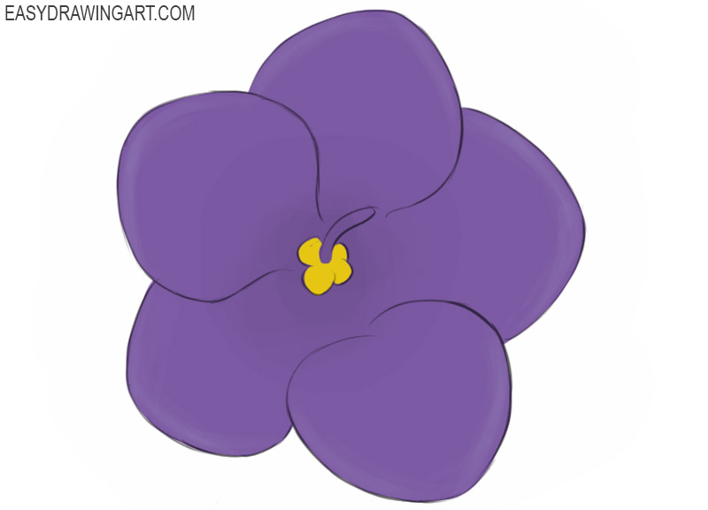 how to draw a violet