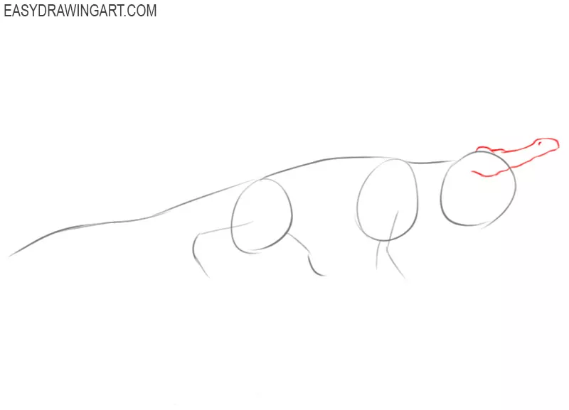 how to draw an alligator easy 
