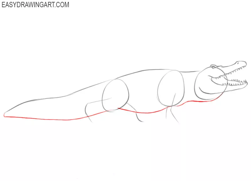 how to draw an alligator in easy way