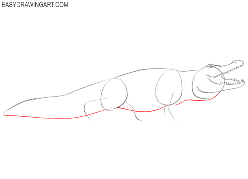 how to draw an alligator in easy way