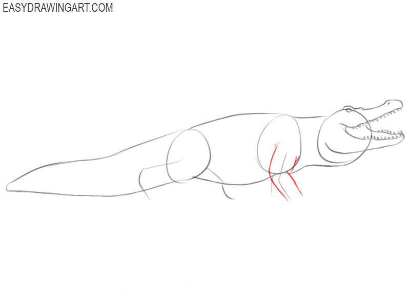 steps on how to draw an alligator