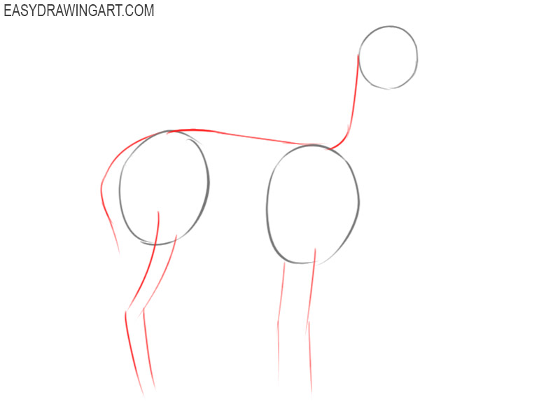 how to draw an alpaca cartoon 
