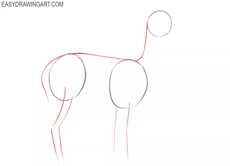 how to draw an alpaca cartoon 