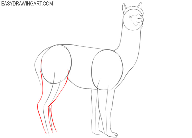 alpaca drawing tutorial
