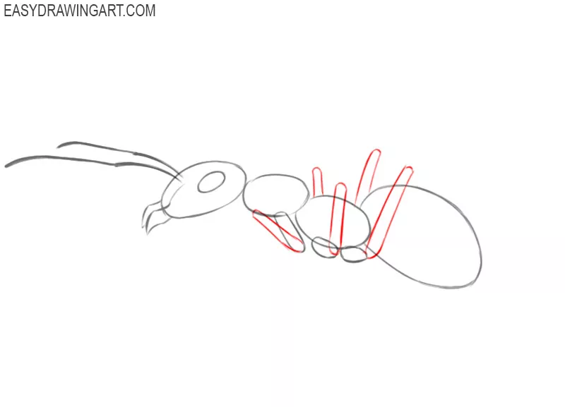 how to draw an ant in easy way