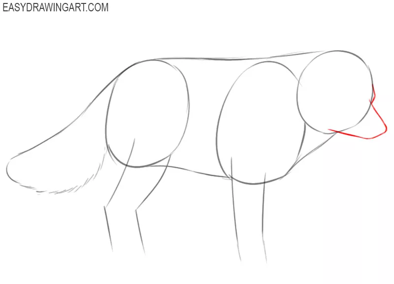 how to draw an arctic fox easy