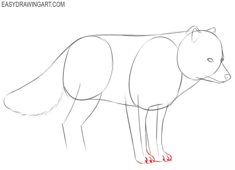 how to draw an arctic fox in easy steps