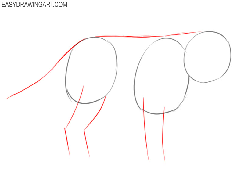 how to draw arctic fox tutorial 