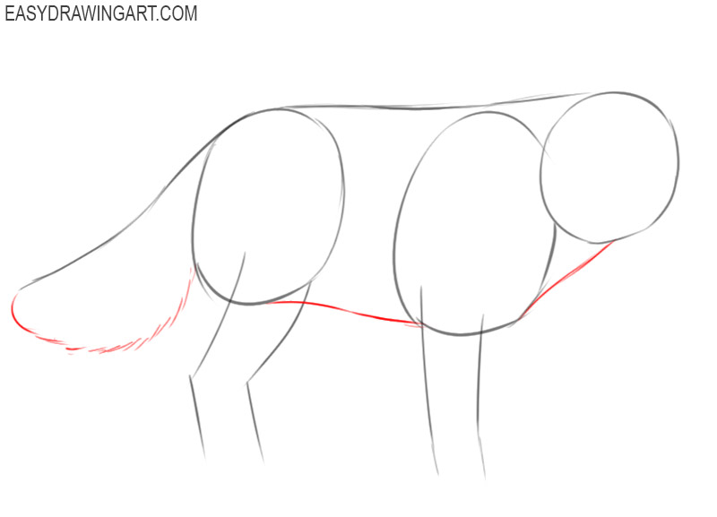 how to draw arctic fox animal