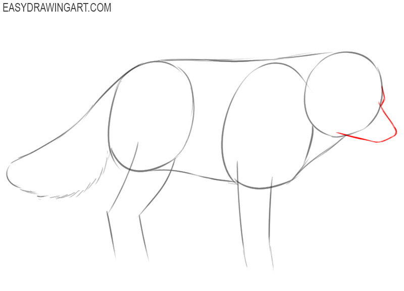 how to draw an arctic fox easy
