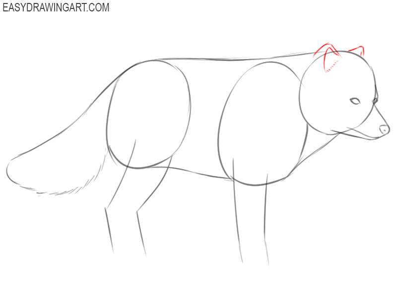 how to draw a arctic fox step by step easy 