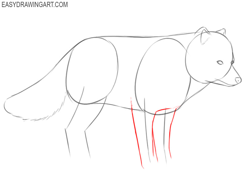 how to draw an arctic fox cartoon
