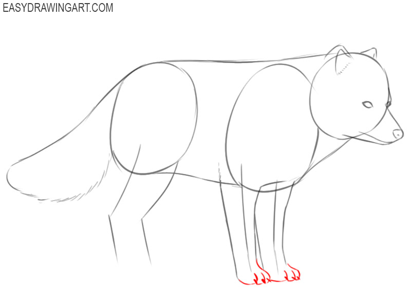 how to draw an arctic fox in easy steps