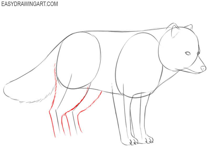 how to draw a cute arctic fox step by step