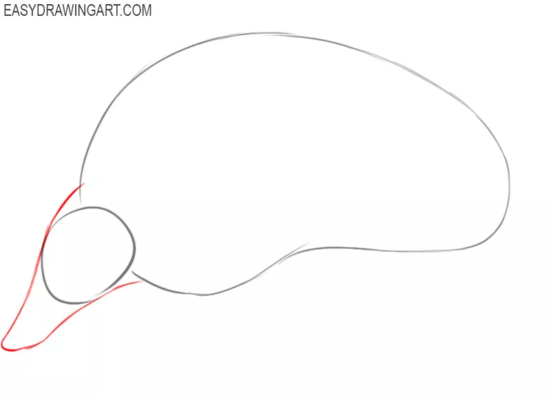 how to draw an armadillo step by step