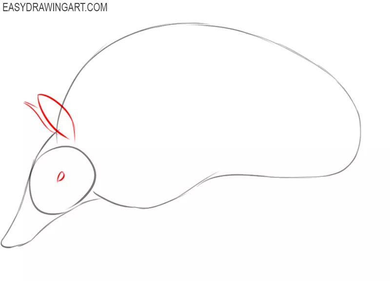 armadillo drawing cute 