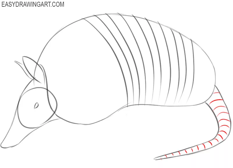 armadillo drawing image 