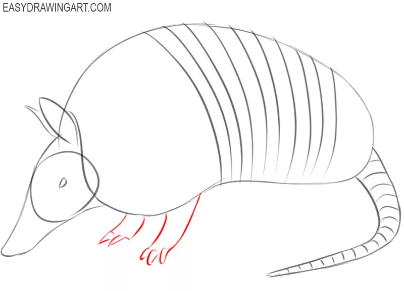 armadillo drawing easy 