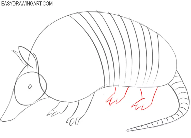 armadillo cartoon drawing 