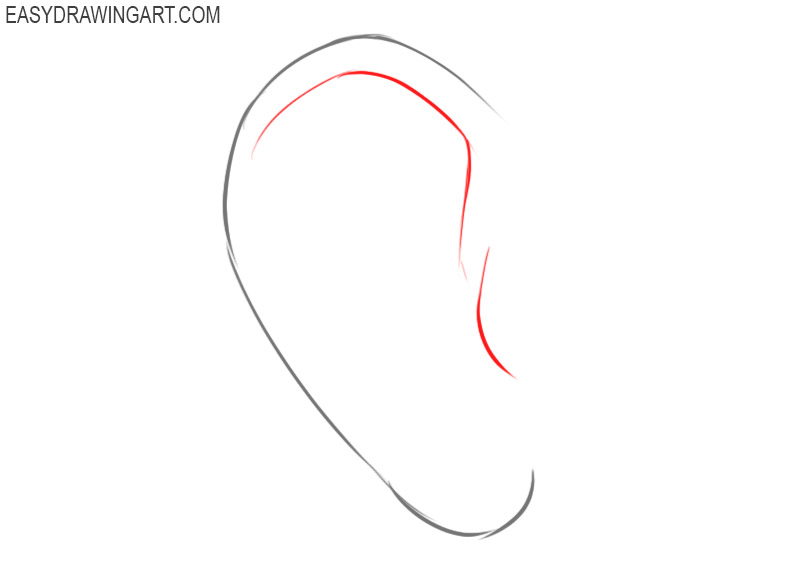 How to draw ears