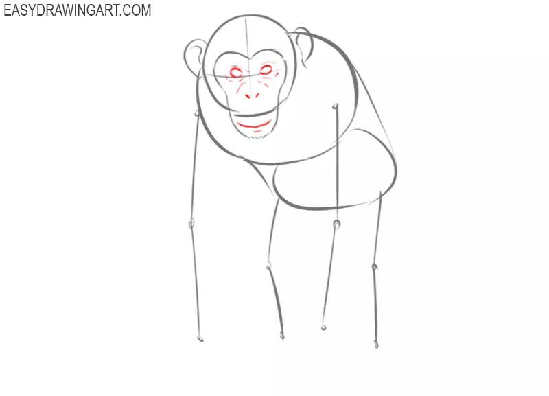 how to draw an easy chimpanzee