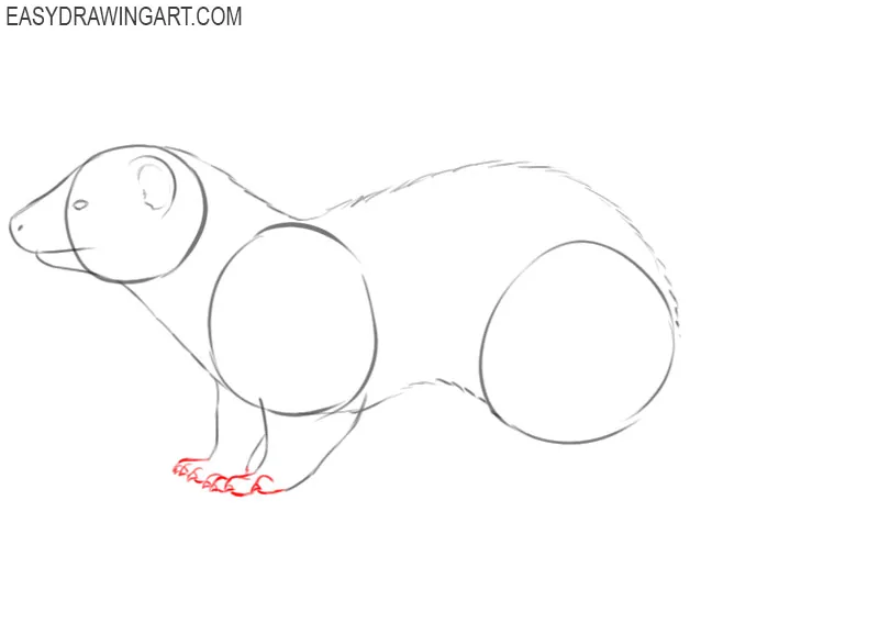 how to draw an easy ferret