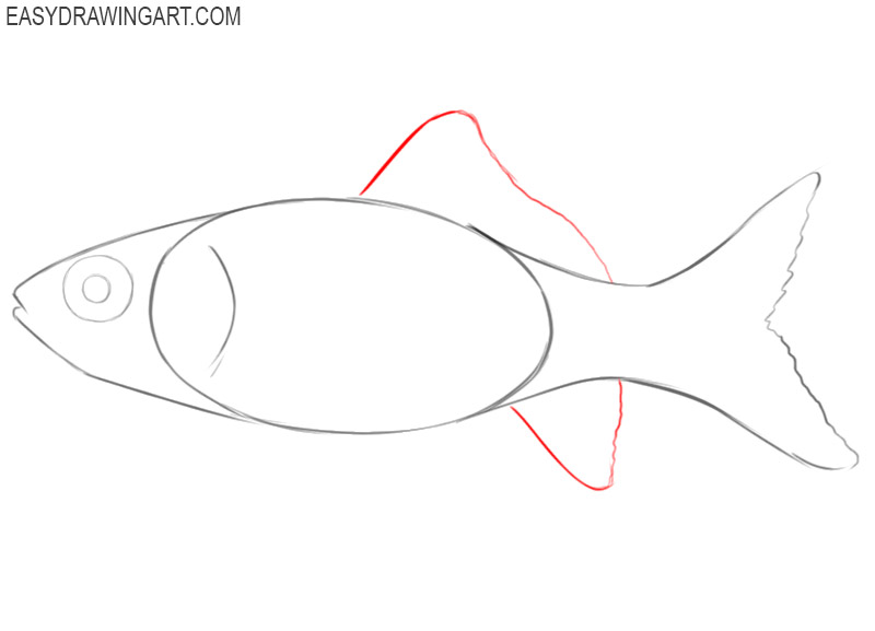 how to draw an easy goldfish