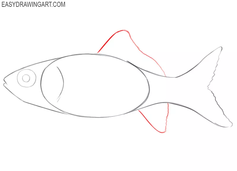 how to draw an easy goldfish