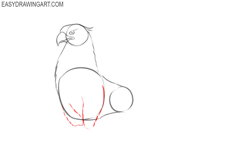 how to draw an easy griffin