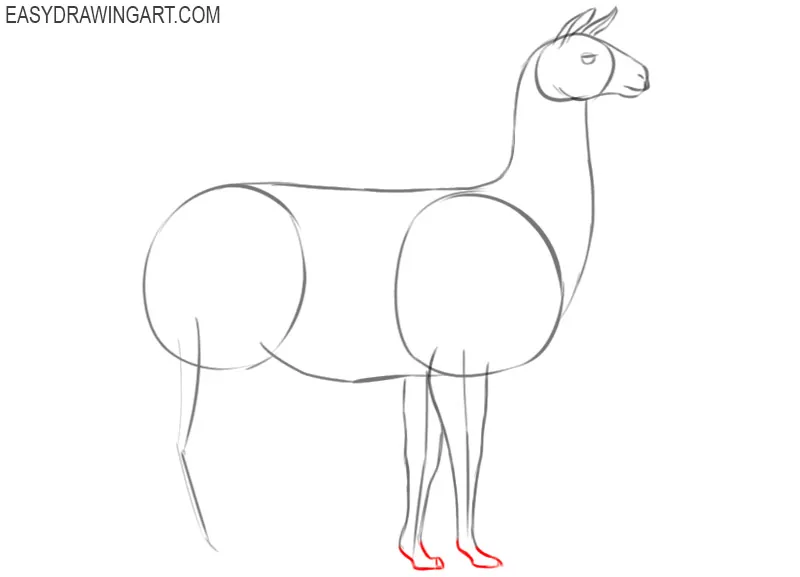 how to draw an easy llama
