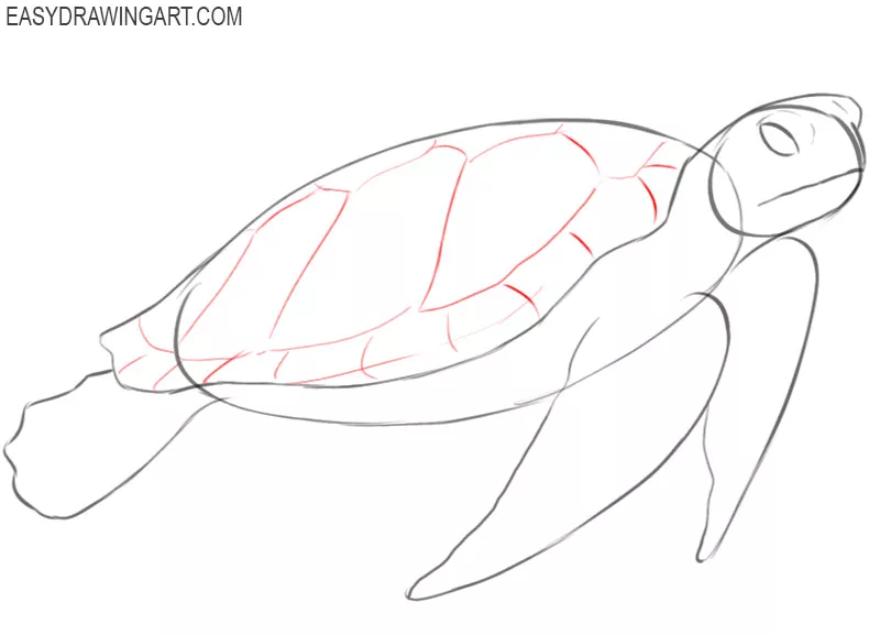 how to draw an easy sea turtle