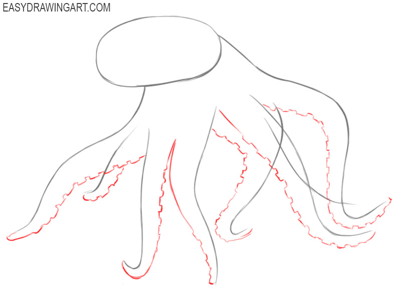 how to draw an octopus step by step