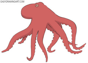 How to draw an octopus