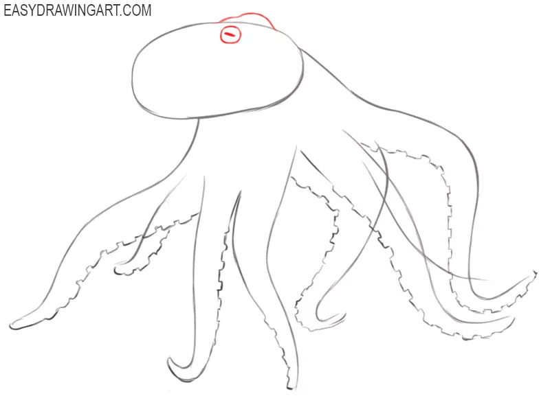 how to draw an octopus tentacle