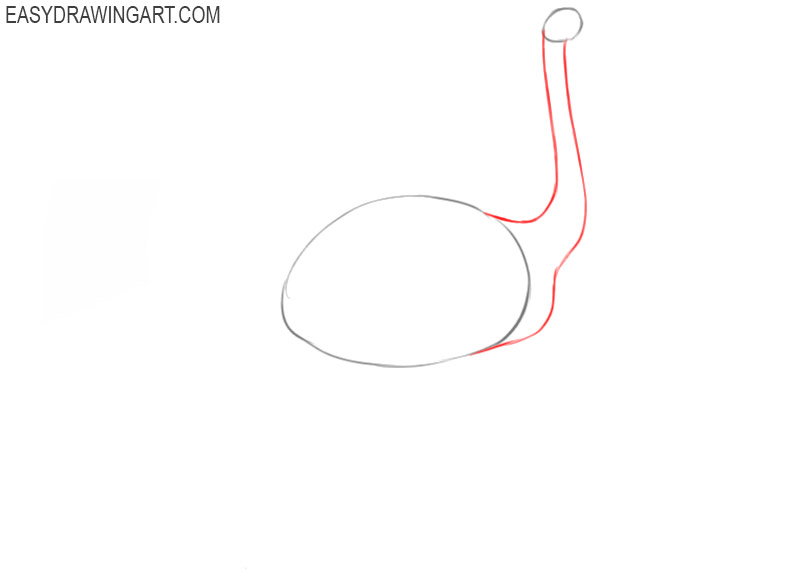 how to draw an ostrich easy