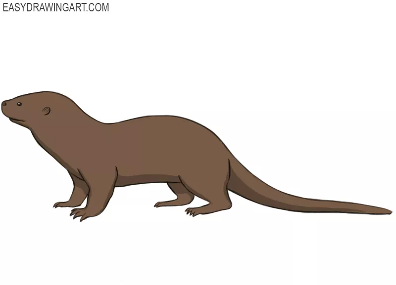 how to draw an otter