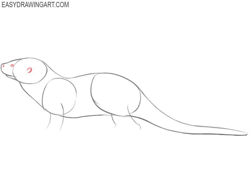 how to draw an otter step by step easy 